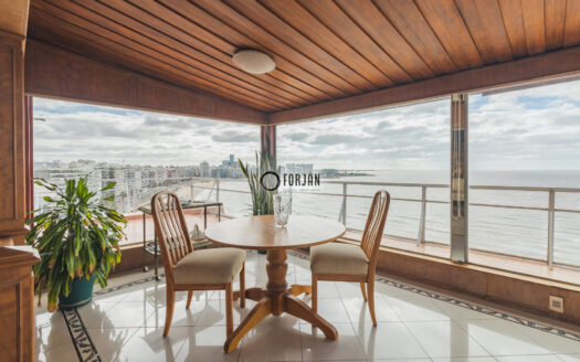 Penthouse con Terraza y Garaje en Rambla de Pocitos