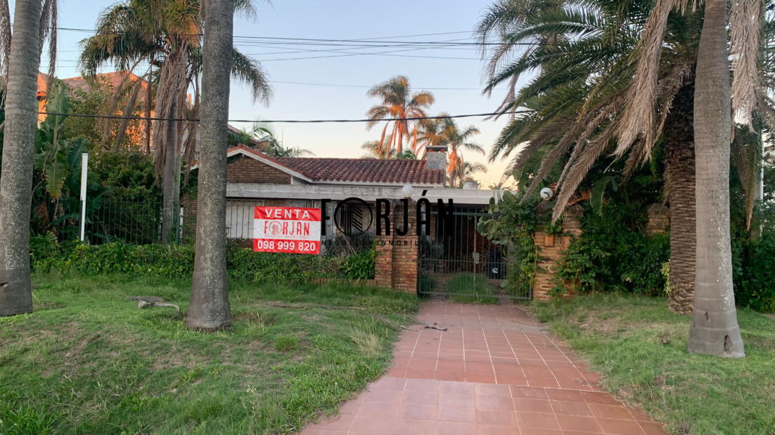 video image