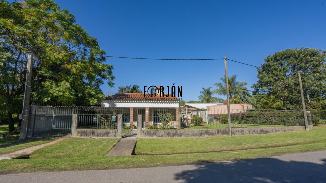 video image